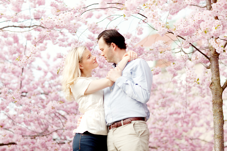 engagement photos Stockholm with Cherry Blooms