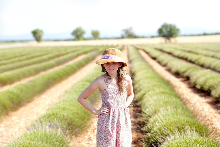 Provence Scenery