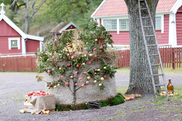 Tjolöholm Slott i Göteborg dekorationer med äpplen utanför mor Amandas stuga