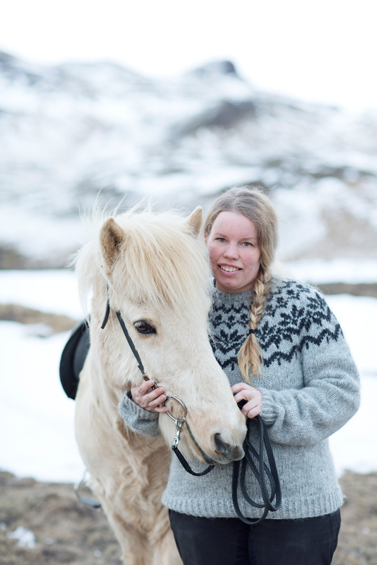 Islandshäst på Island med ryttare och islandströja